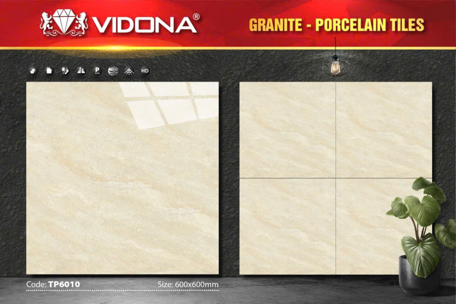 VIDONA TP 6010